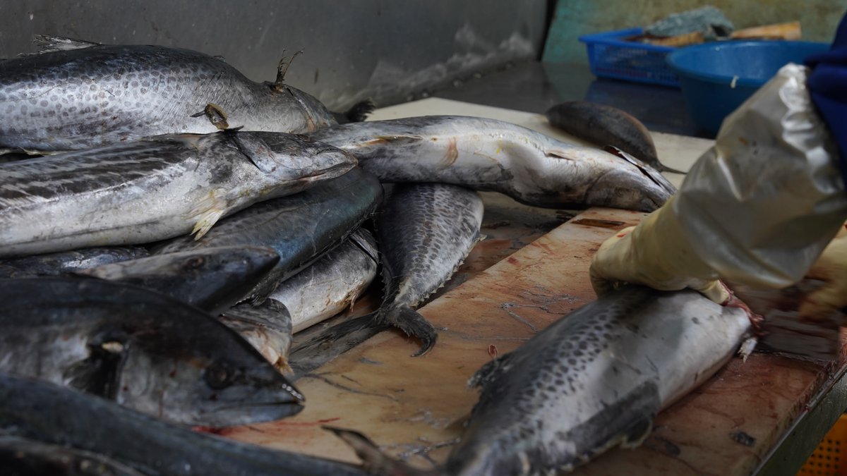 수산물 이력추적 인증서