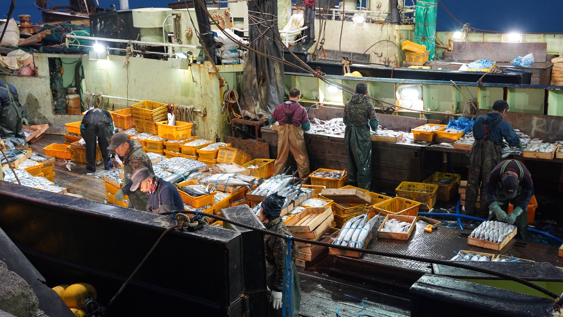 새벽 4시, 여수 위판장