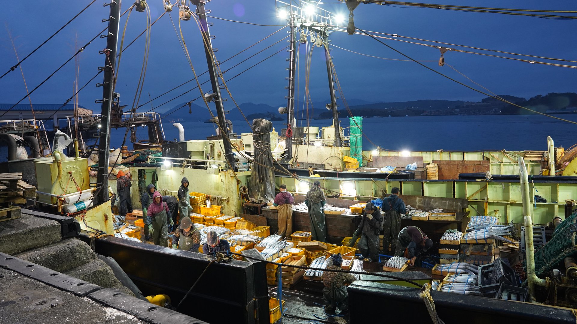 새벽 작업 현장