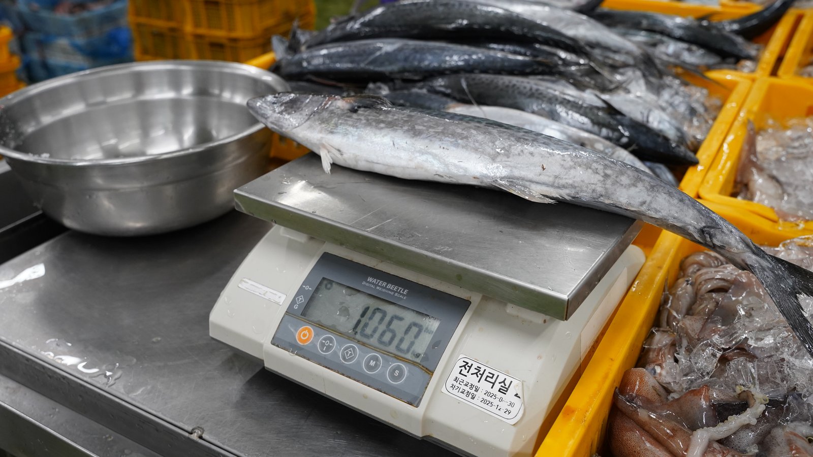 원물 1미 1kg 이상 엄격 선별