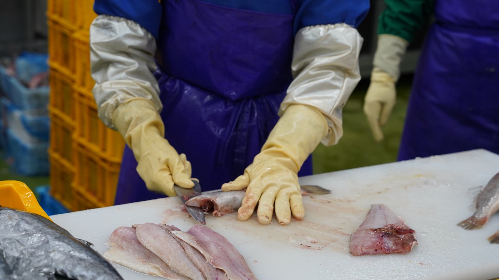 백조기 수작업 비늘 제거