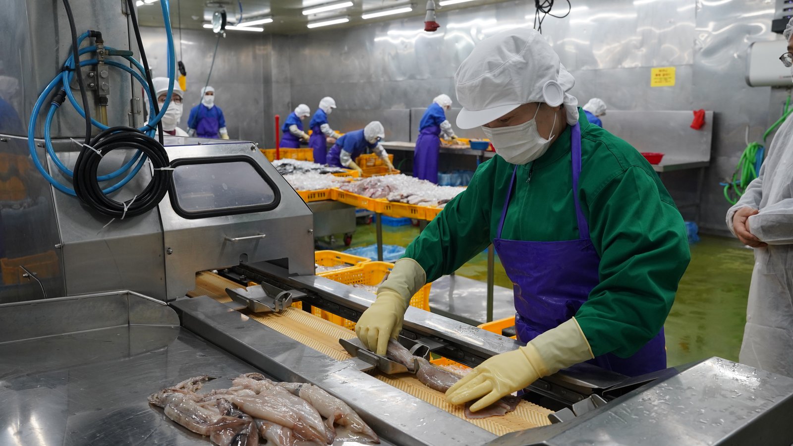 당일 입고, 즉시 가공