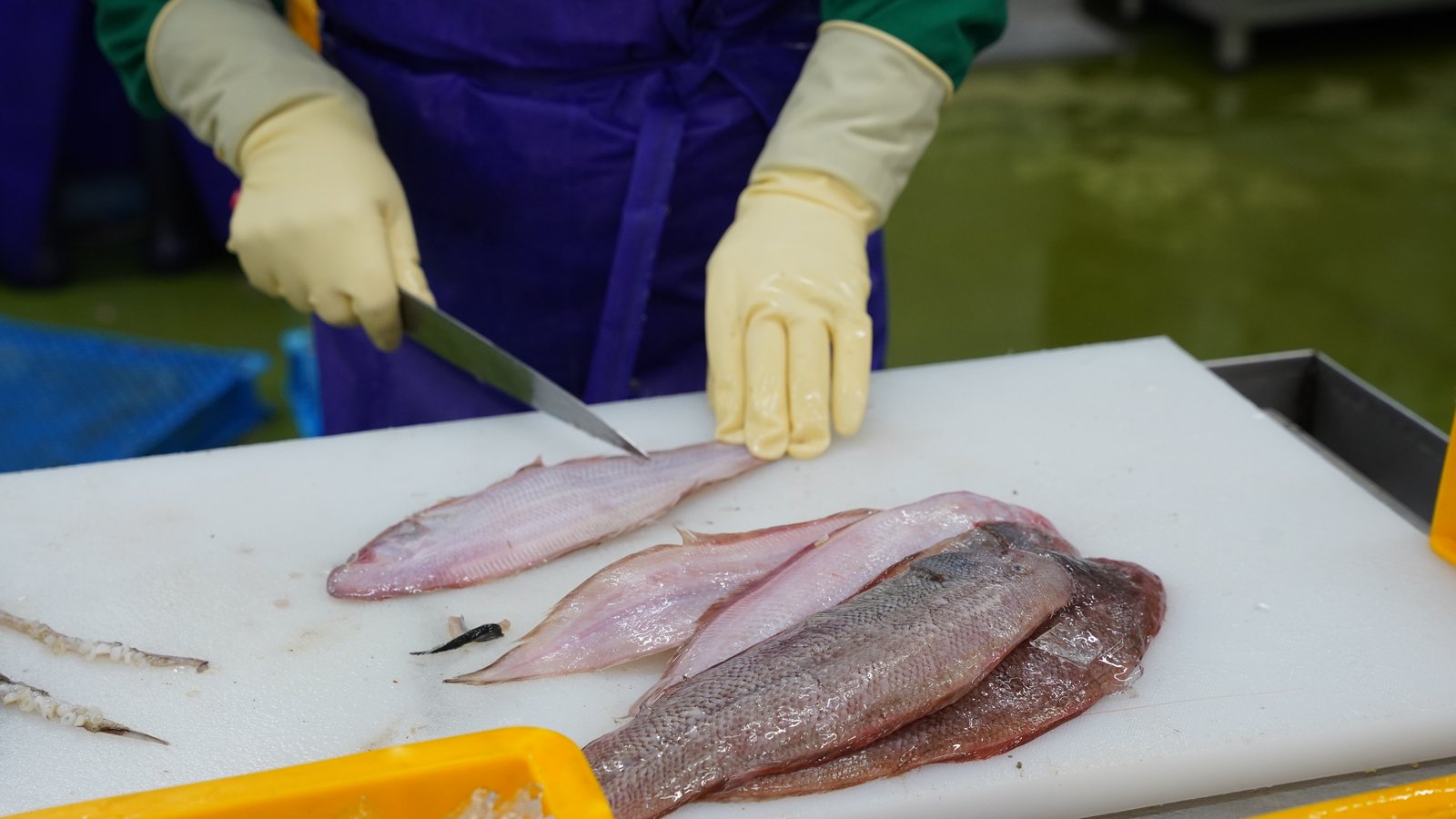 서대 수작업 손질