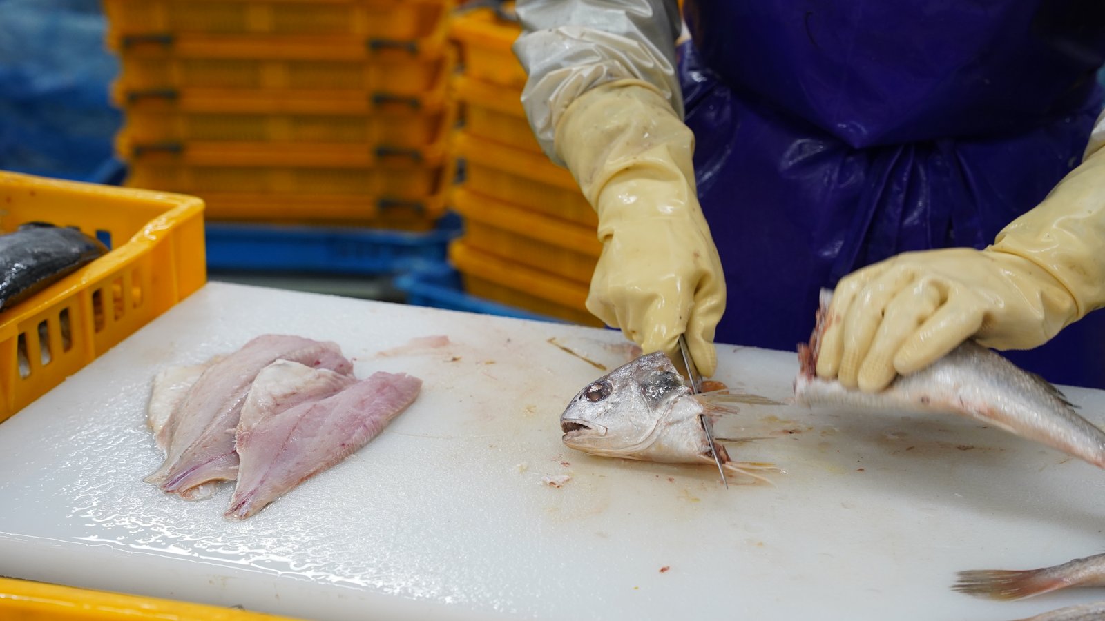 수작업 + 기계 병행