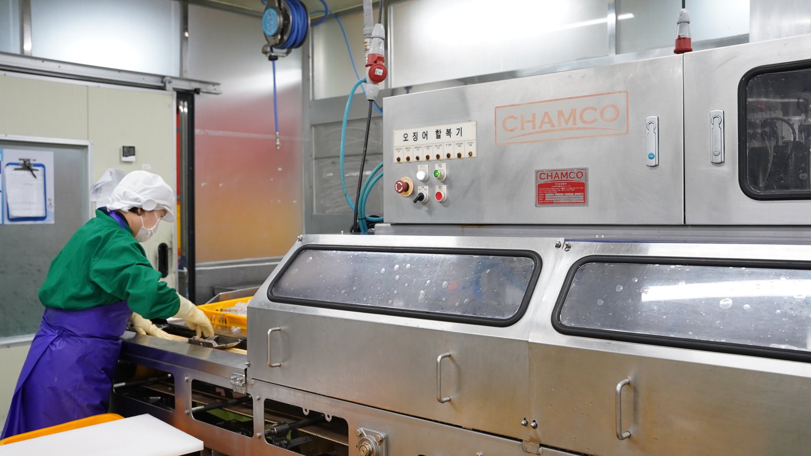 오징어할복기 자동 가공