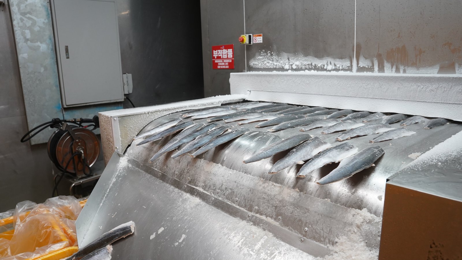 터널프리저 내부