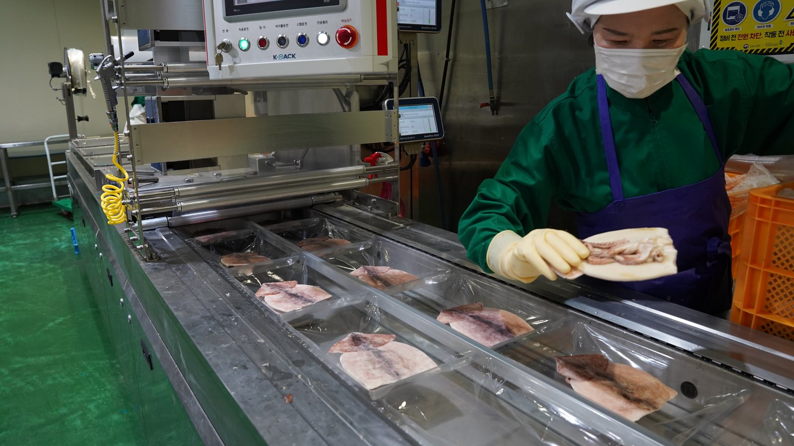 포장 라인 전경